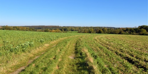 Proposition de promenades à Gerpinnes