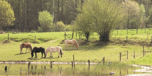 Promenades et réserves naturelles