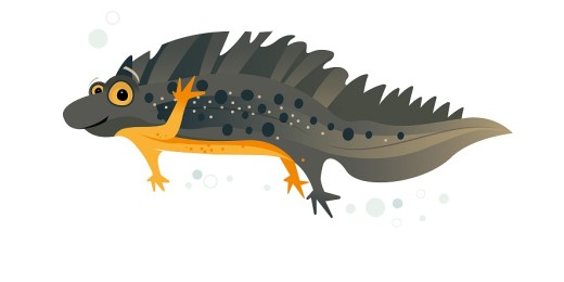 Promenades ludiques