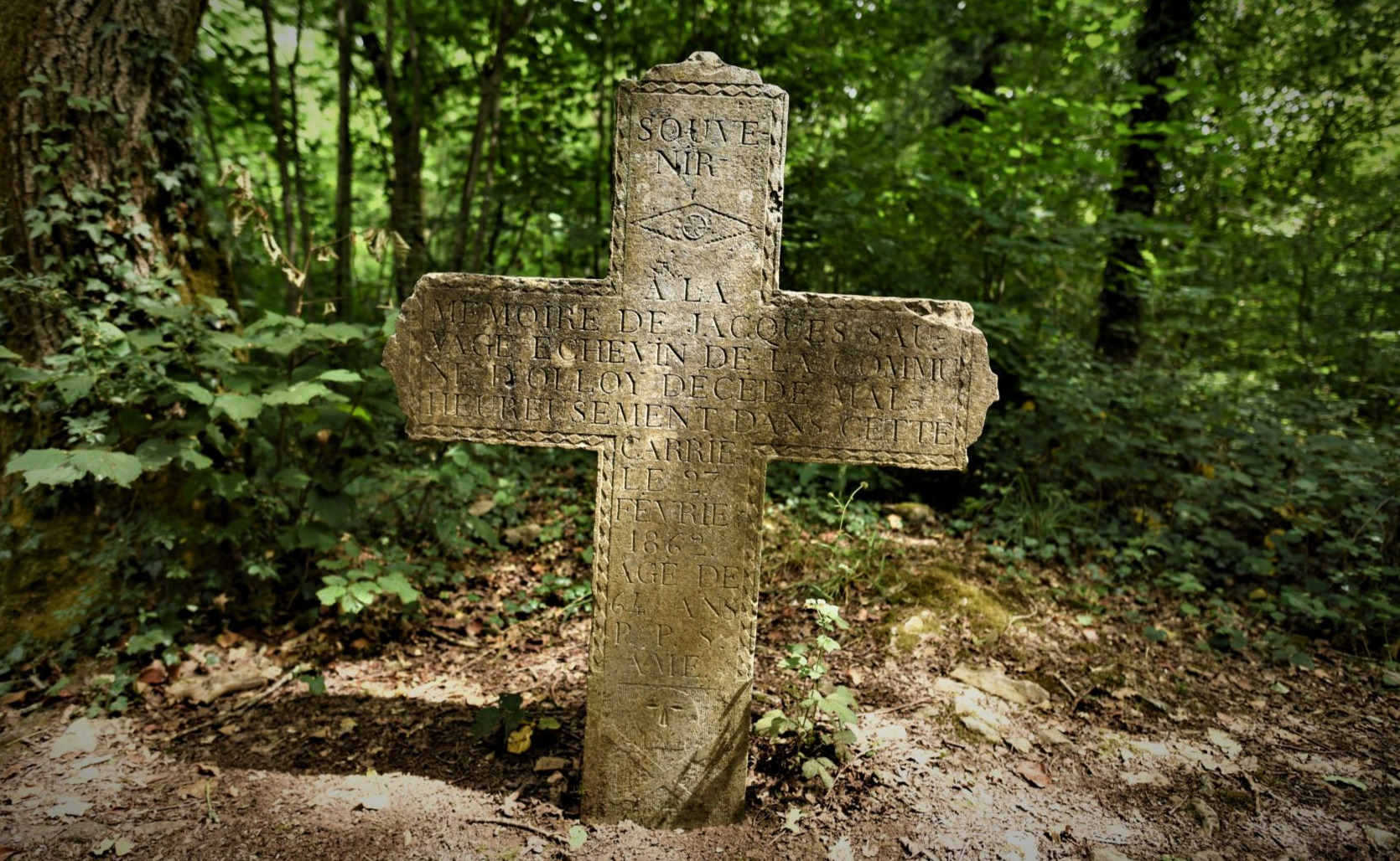 Promenade dans la région de Viroinval.
