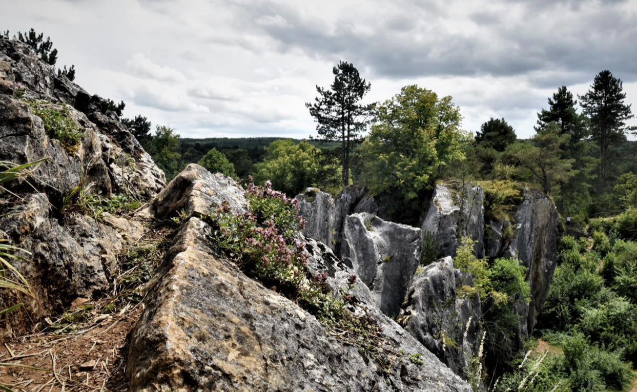 Nismes, le Fondry des chiens, près de Nismes.