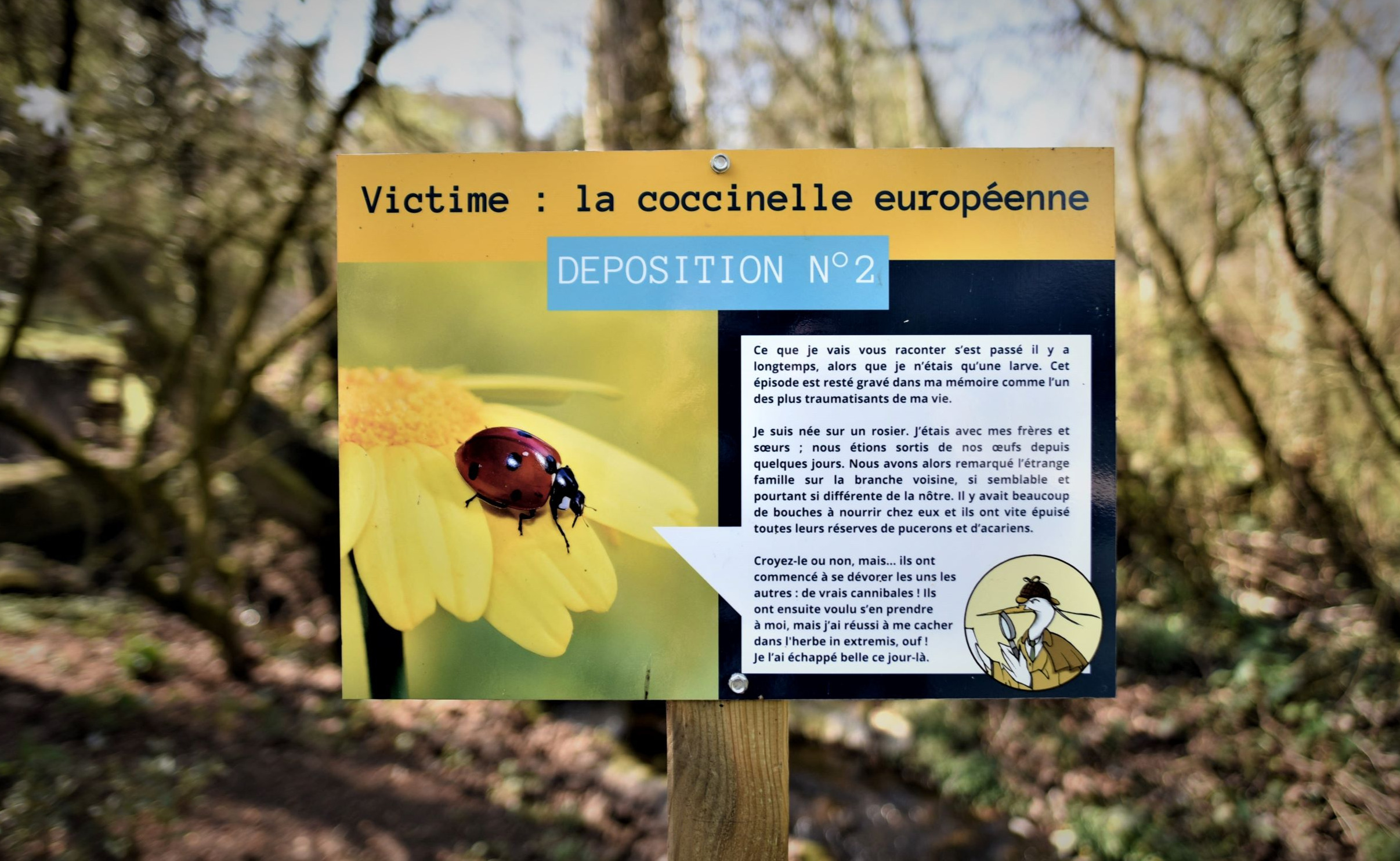 Enquête environnementale au lac de Bambois