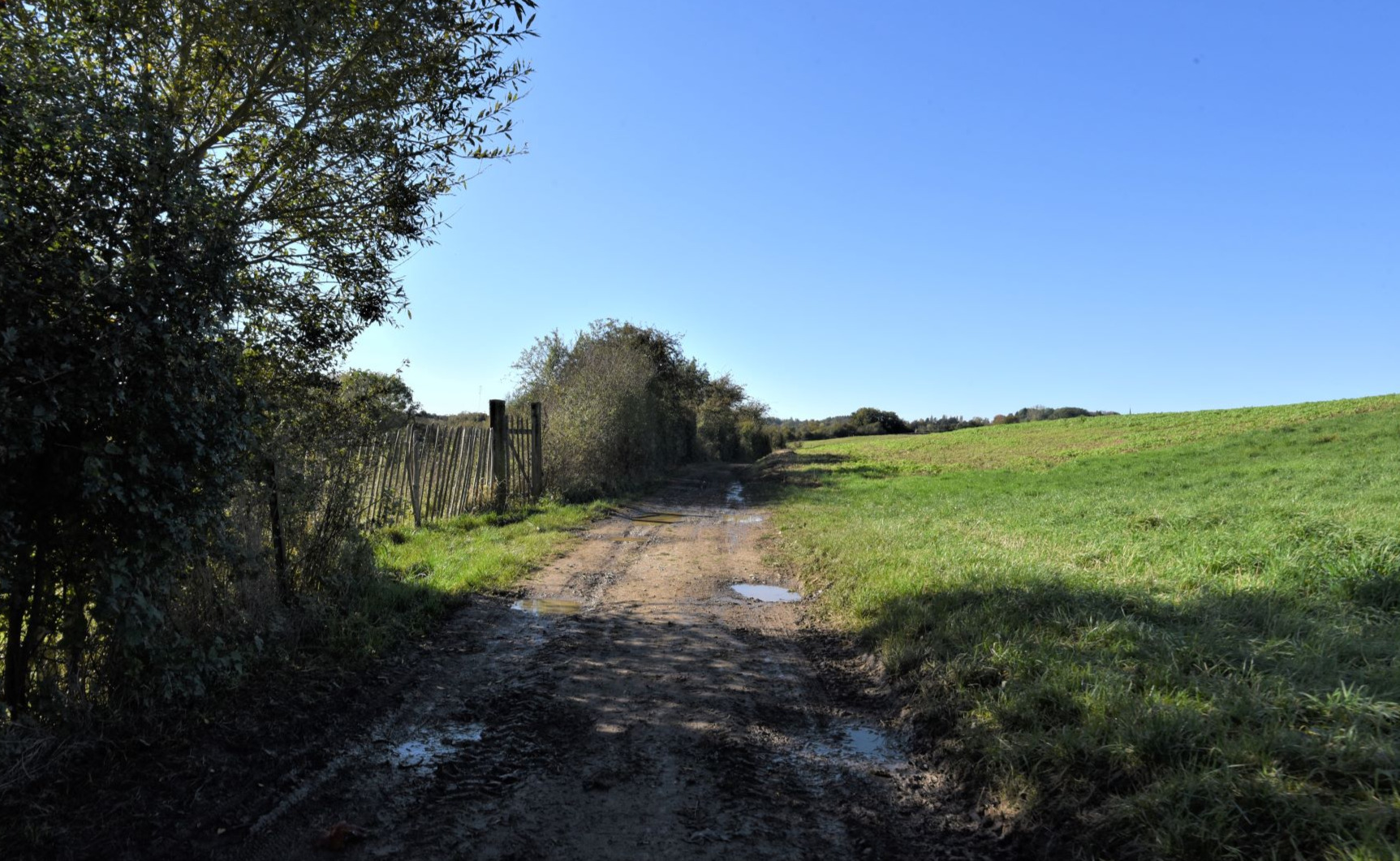 Promenade à Gerpinnes