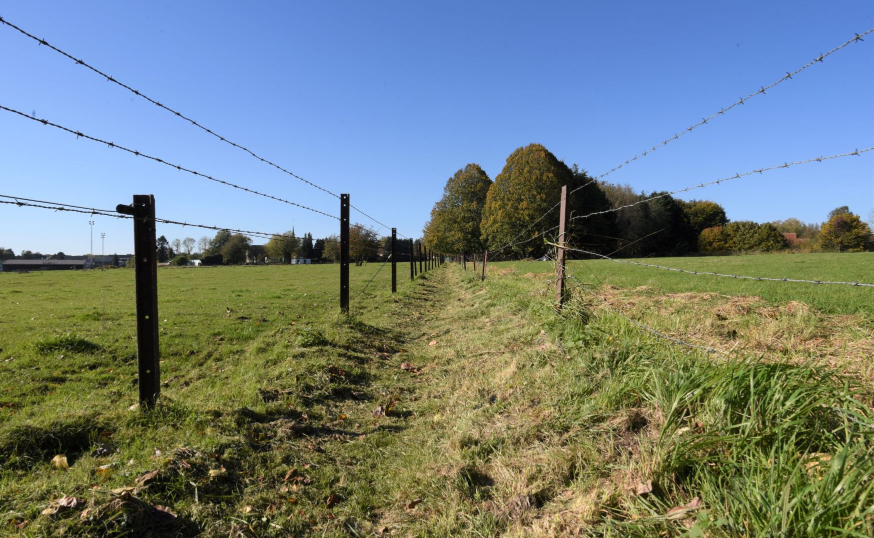 Dans les prairies à Gerpinnes
