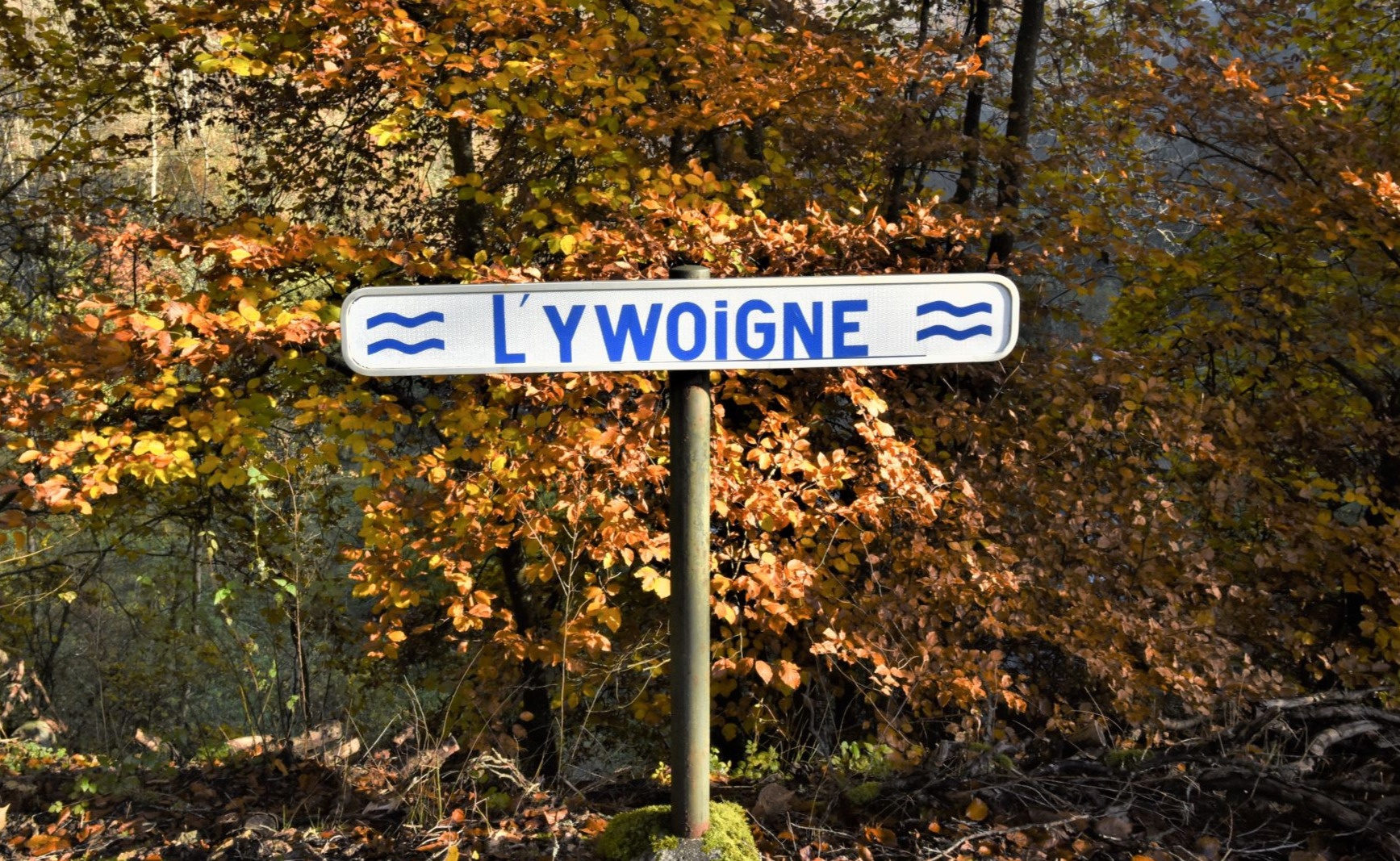 En remontant l'Ywoigne, Gendron