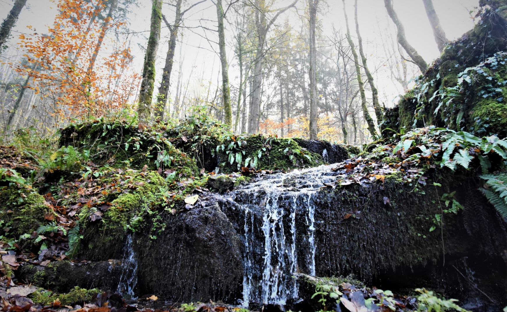 En remontant l'Ywoigne, Gendron