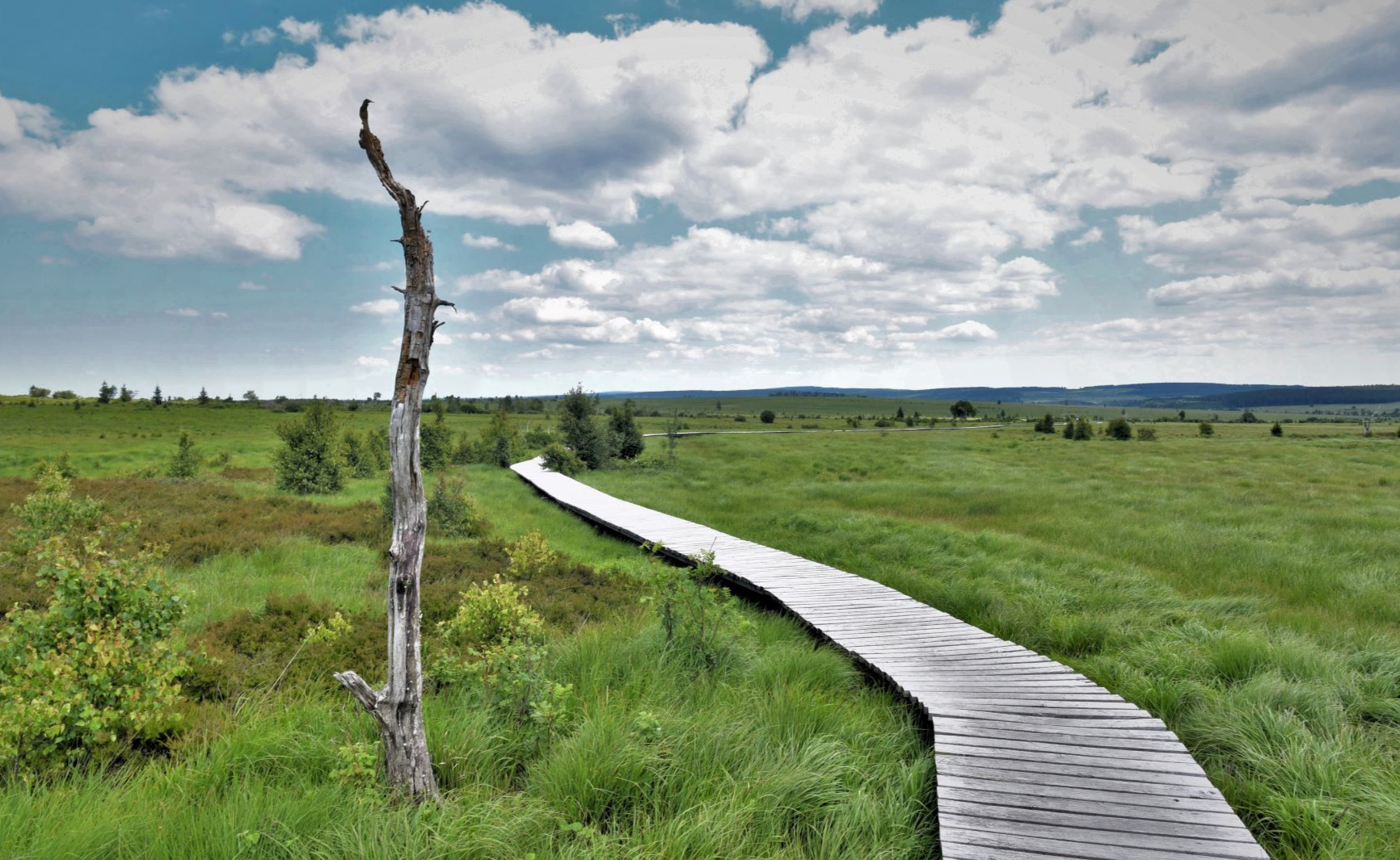 Promenade dans les Hautes-Fagnes
