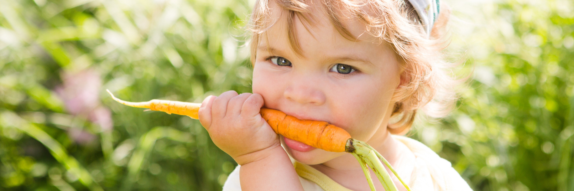 Tout-petit et alimentation végé 