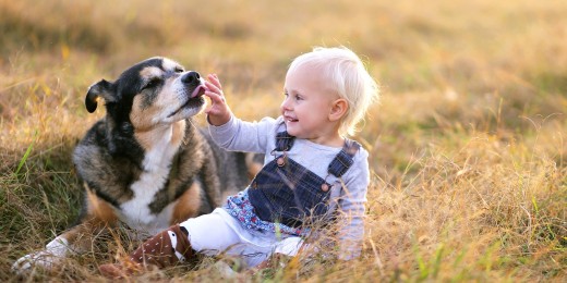 Un chien et un enfant : vigilance !
