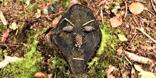 De l’art contemporain 100% nature