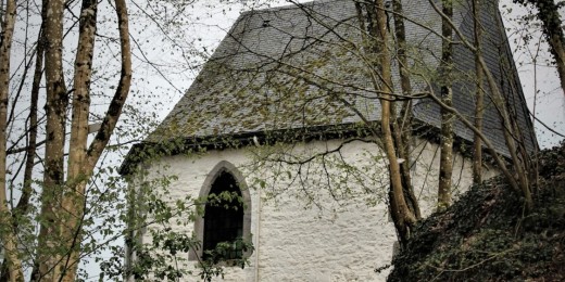 Balade, nature, Ardennes à Saint-Thibaut