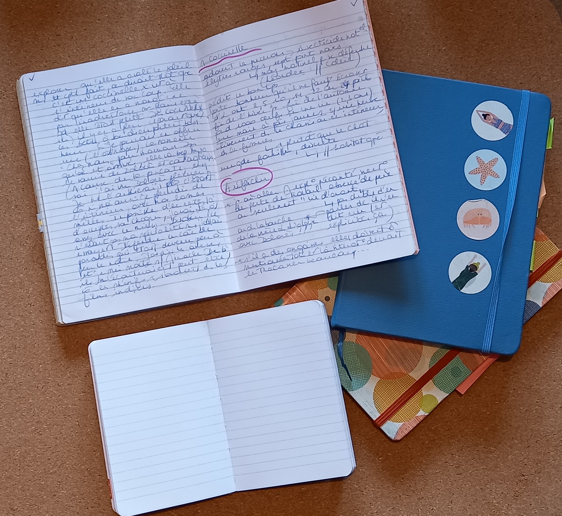Les carnets de Marie Colot