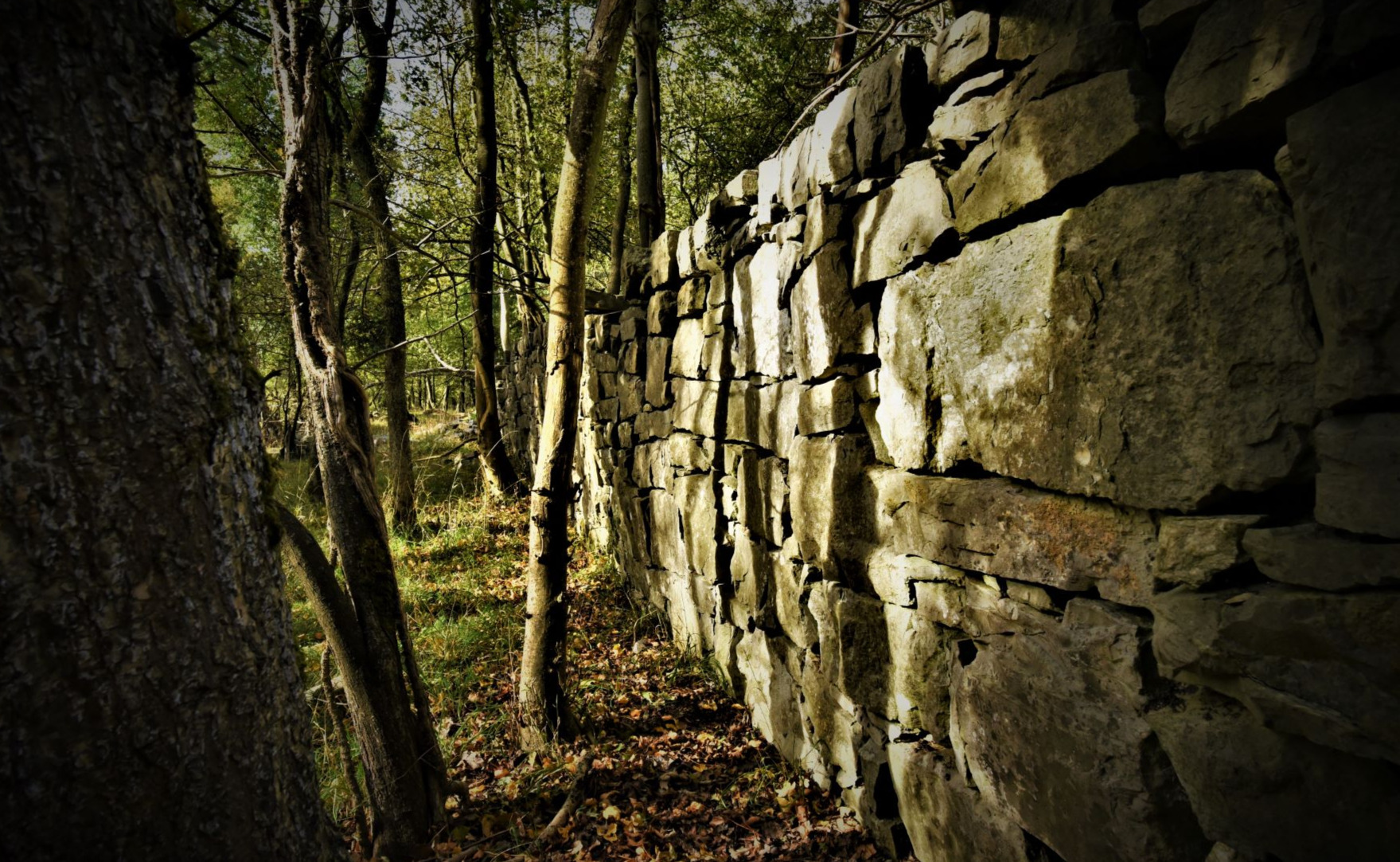 Thon Samson: murs dans la forêt