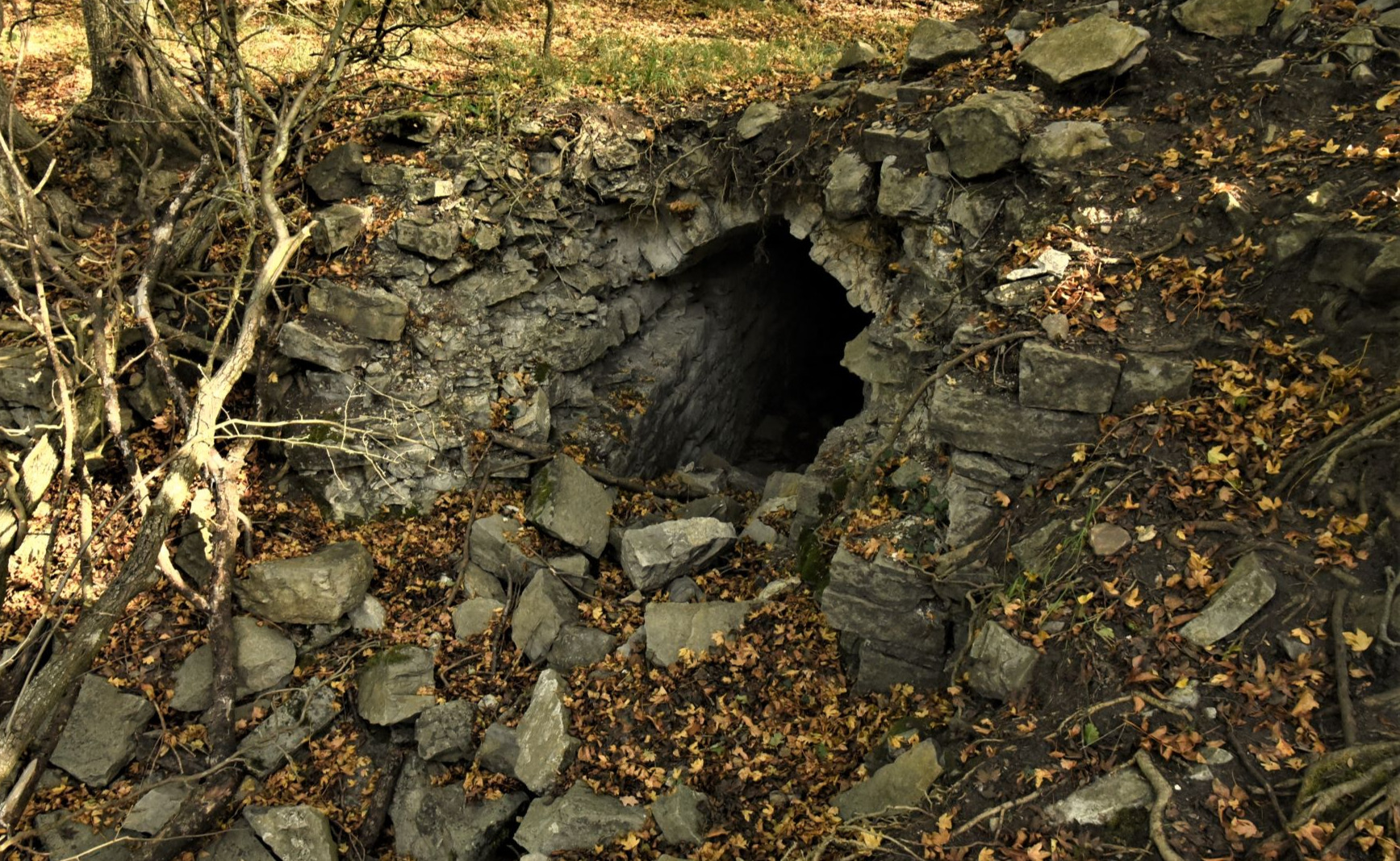 Vestiges dans la forêt