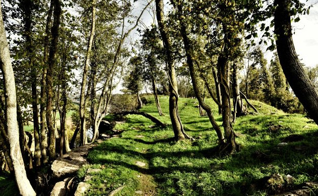 Un sentier de promenade atypique à Thon Samson