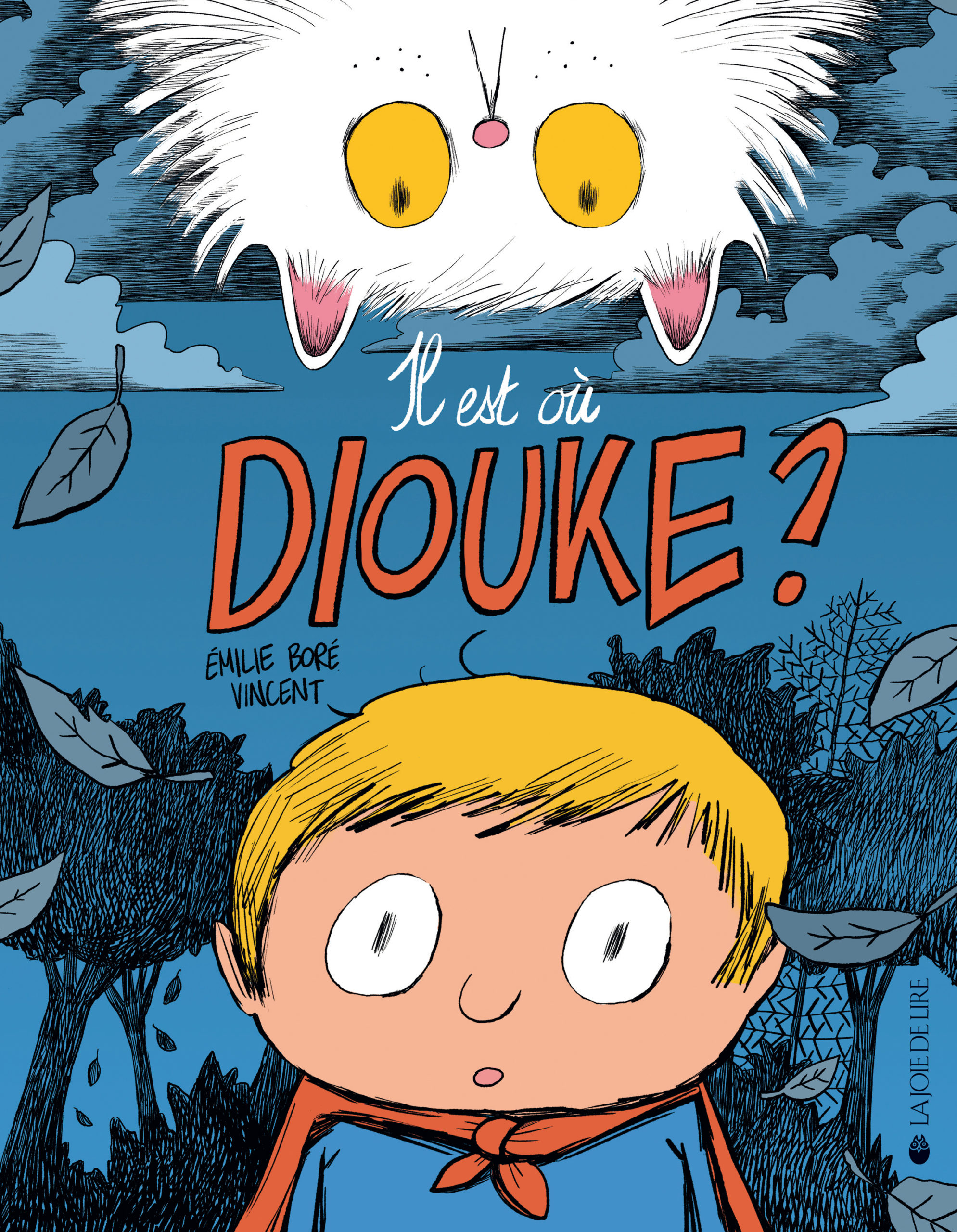Livre jeunesse Il est où Diouke ?