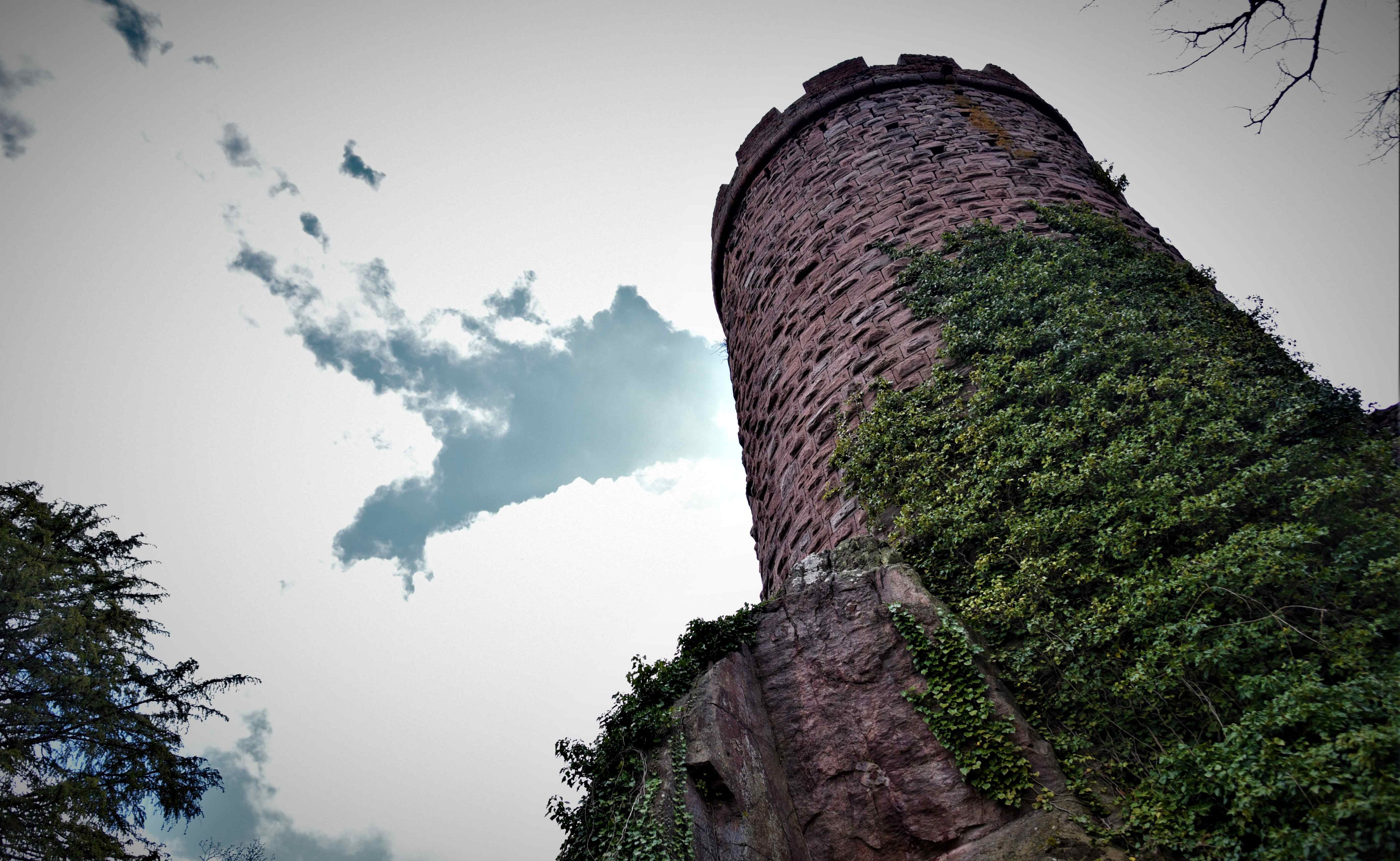 Ribeauvilé, le tour des trois châteaux