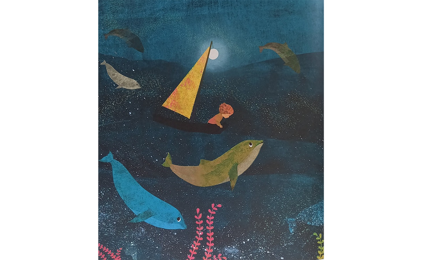 livre jeunesse Ella dans les vagues