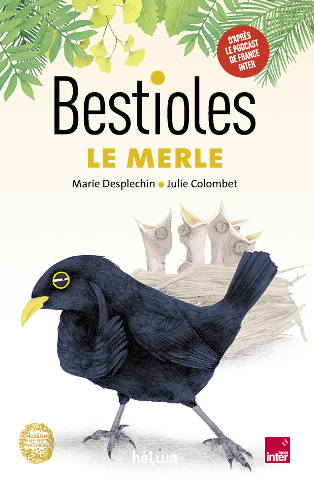 Cover livre jeunesse Bestioles - le merle