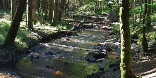 Une balade familiale dans «&nbsp;la vallée des fées&nbsp;»