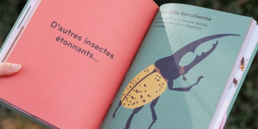 Lire, ça m’dit : notre chronique livre jeunesse avec une immersion dans le monde insolite des insectes grâce à l’Insectorama, de Lisa Voisard (éd. Helvetiq)