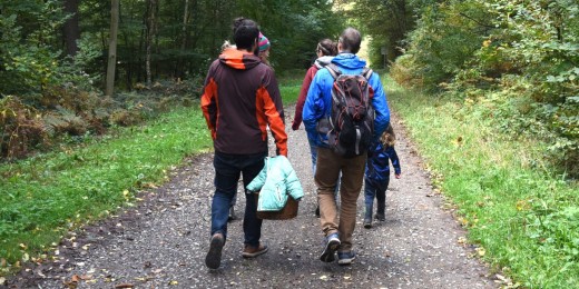 Itinéraires pédestres dans la commune d'Yvoir