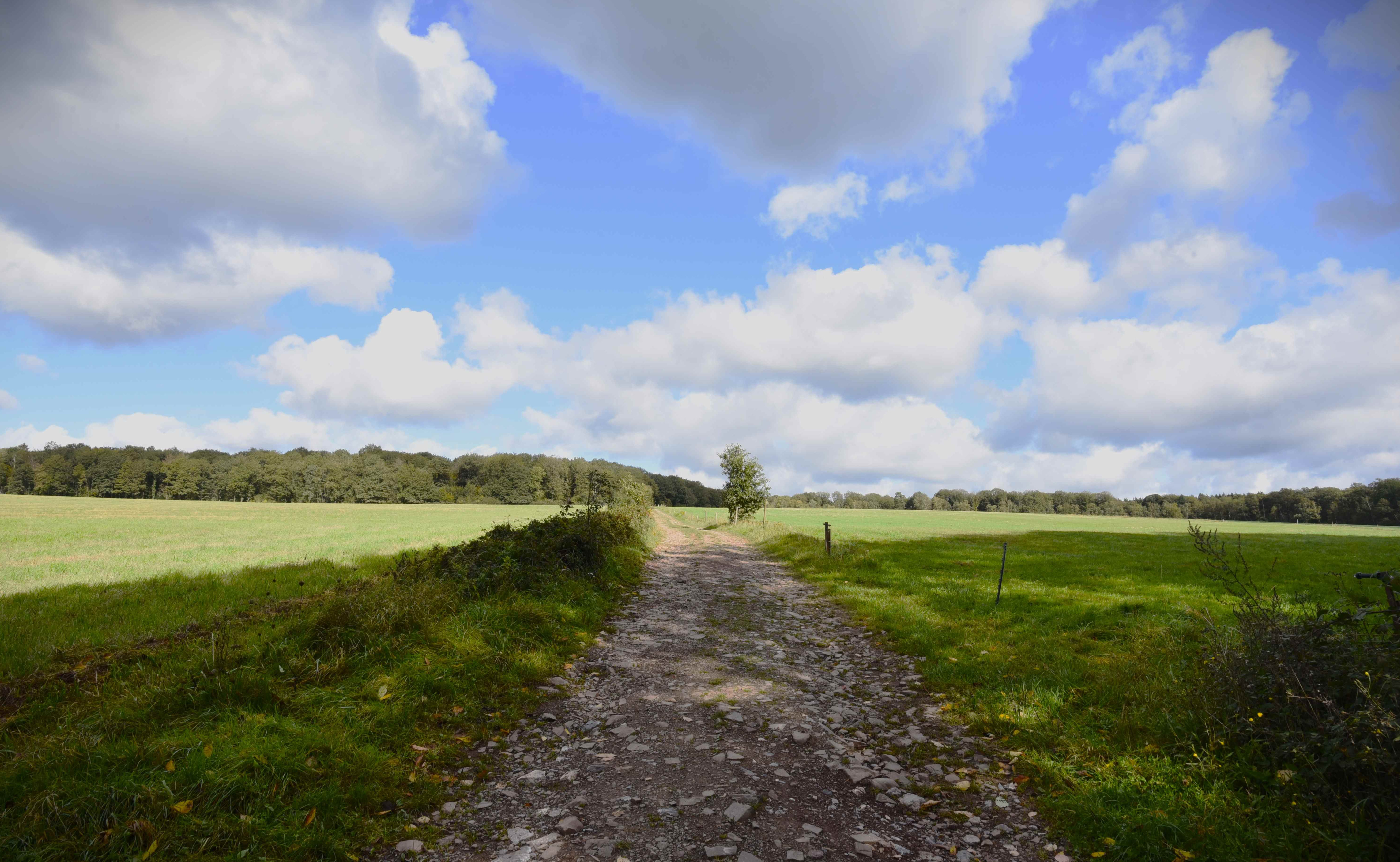Chemin de campagne à Yvoir