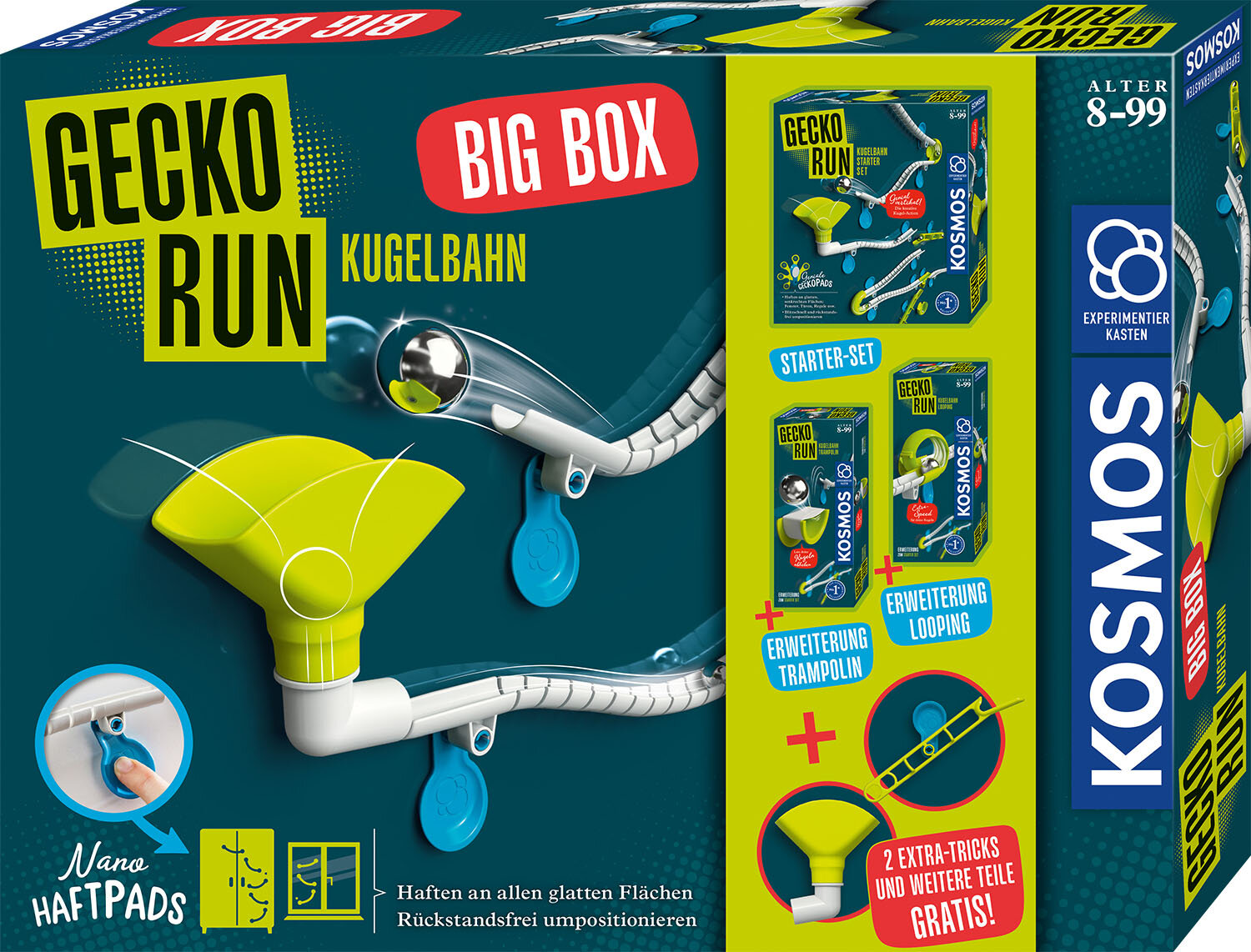 Gecko Run, jeu d'intérieur 
