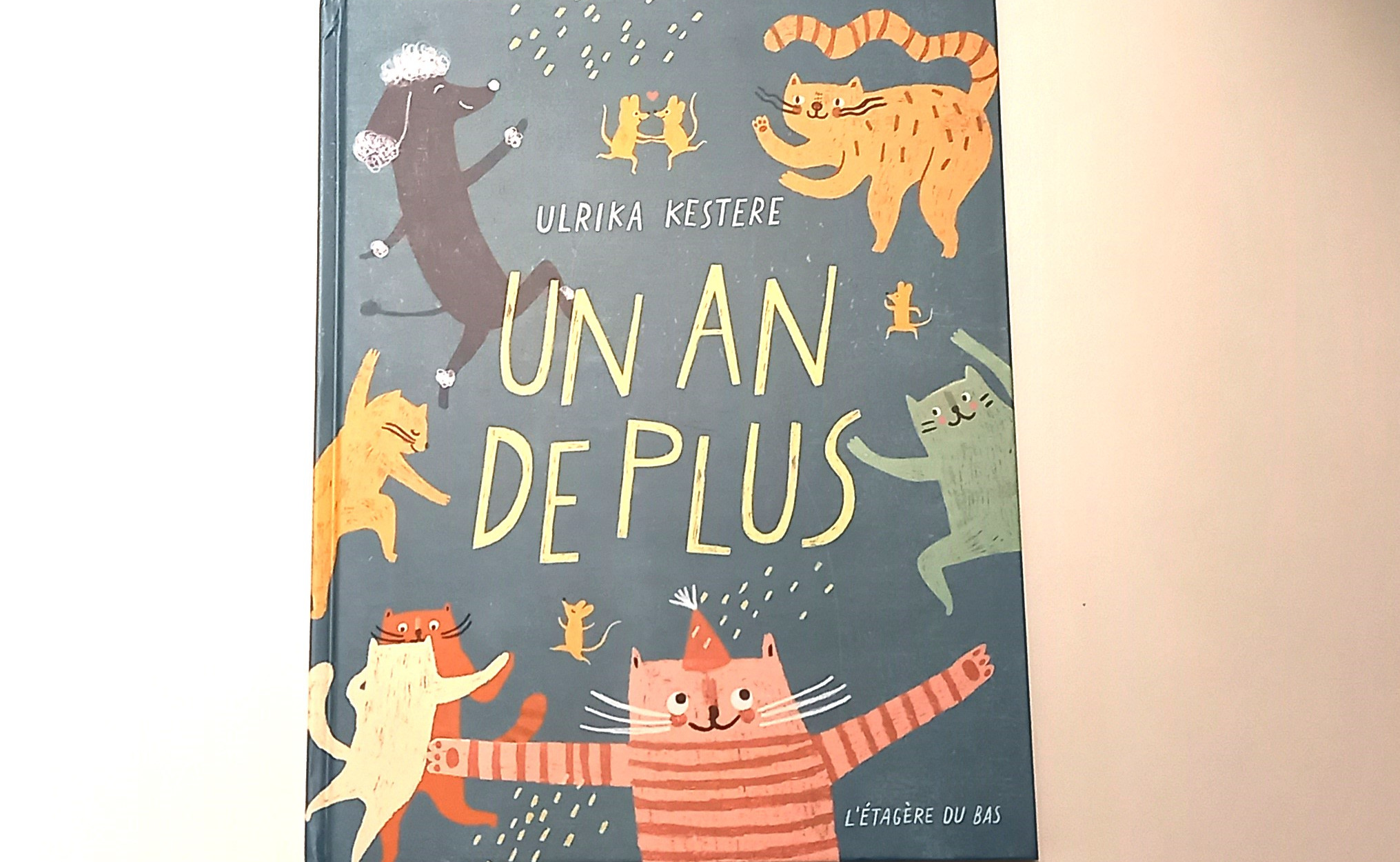 Livre jeunesse Un an de plus