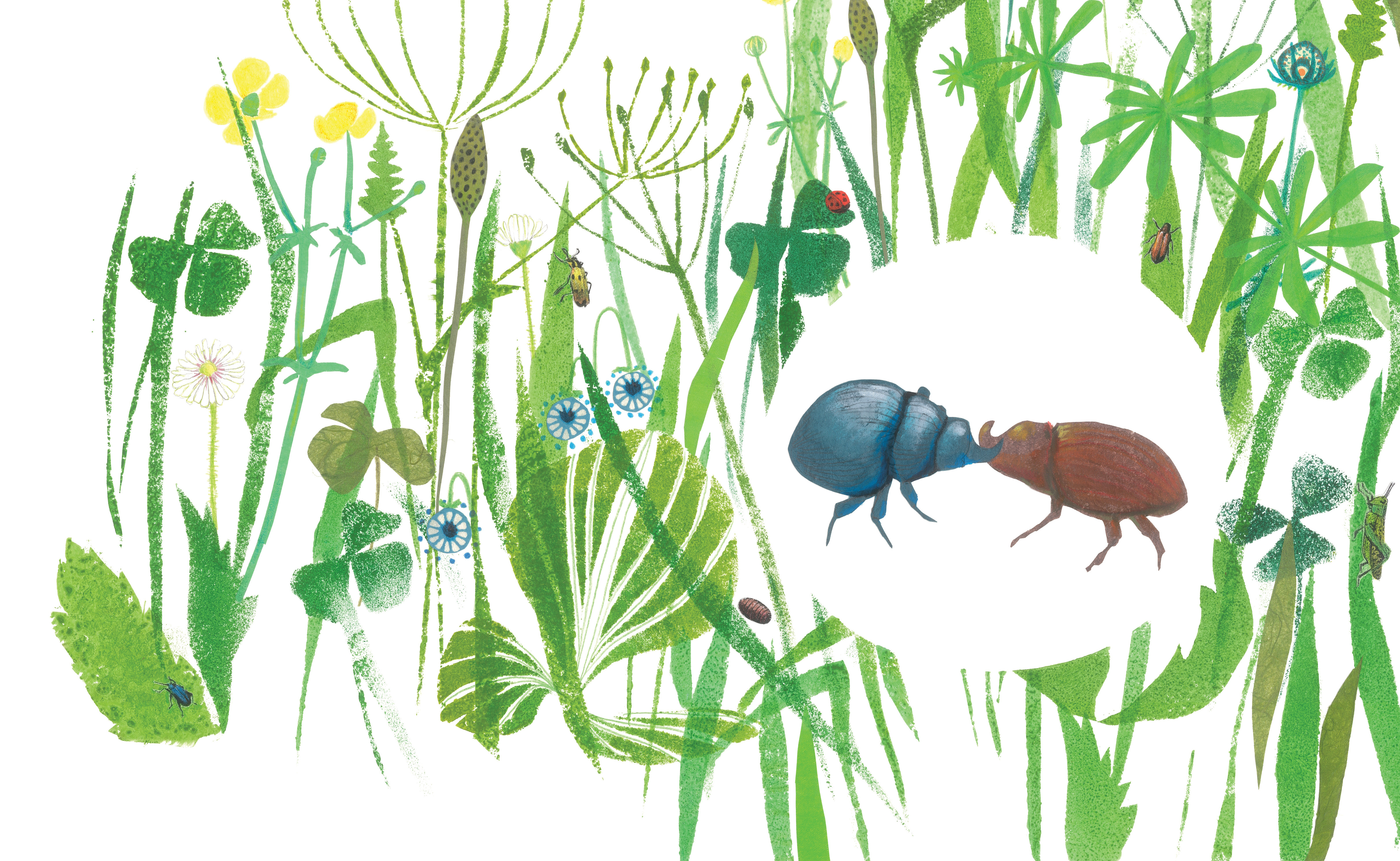 cover livre jeunesse Tôa