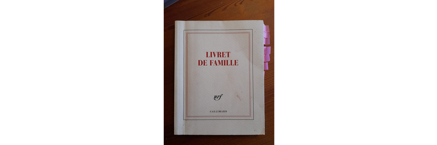 Cover livre Livre de famille Gallimard
