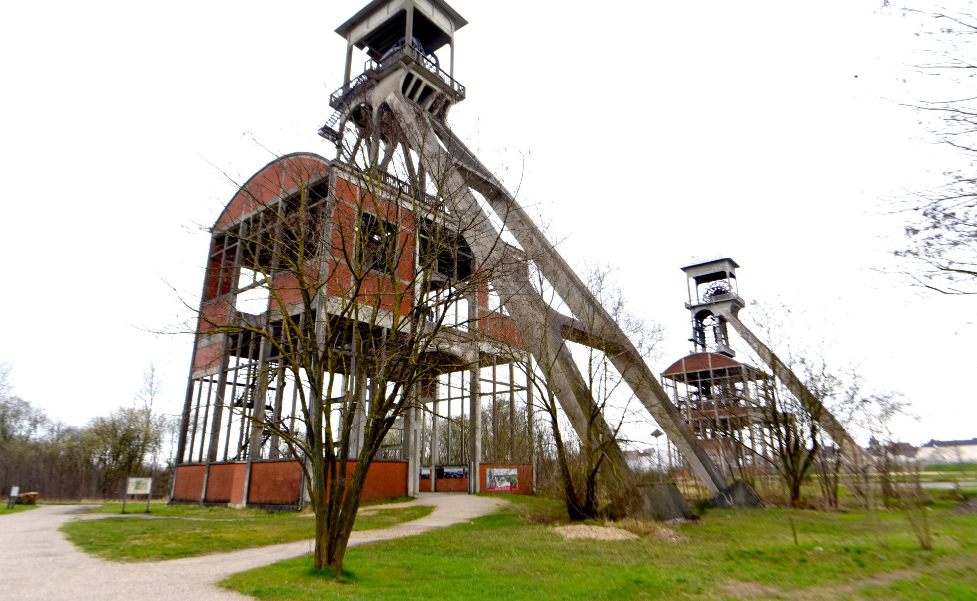 Terhills : parc national de la Haute Campine