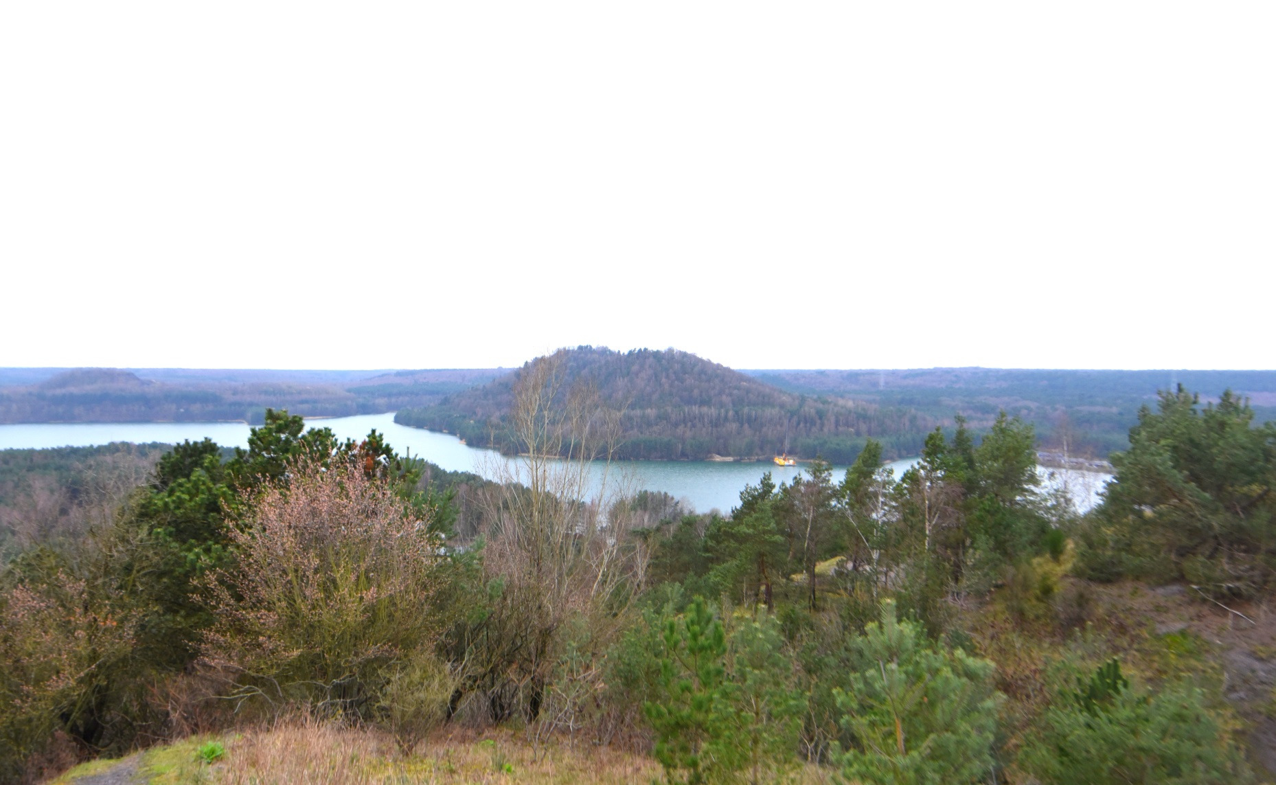 Terhills : parc national de la Haute Campine