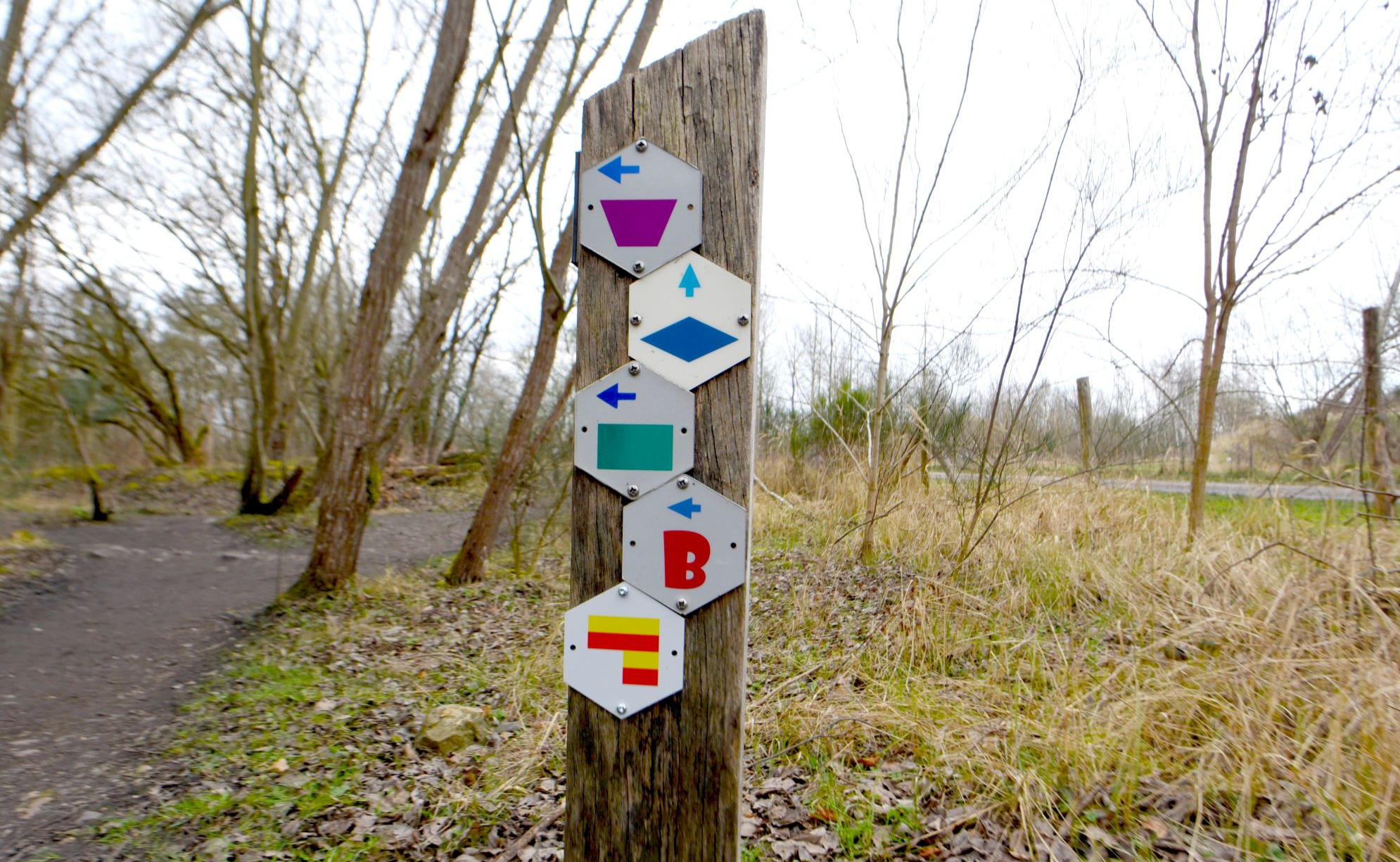 Terhills : parc national de la Haute Campine
