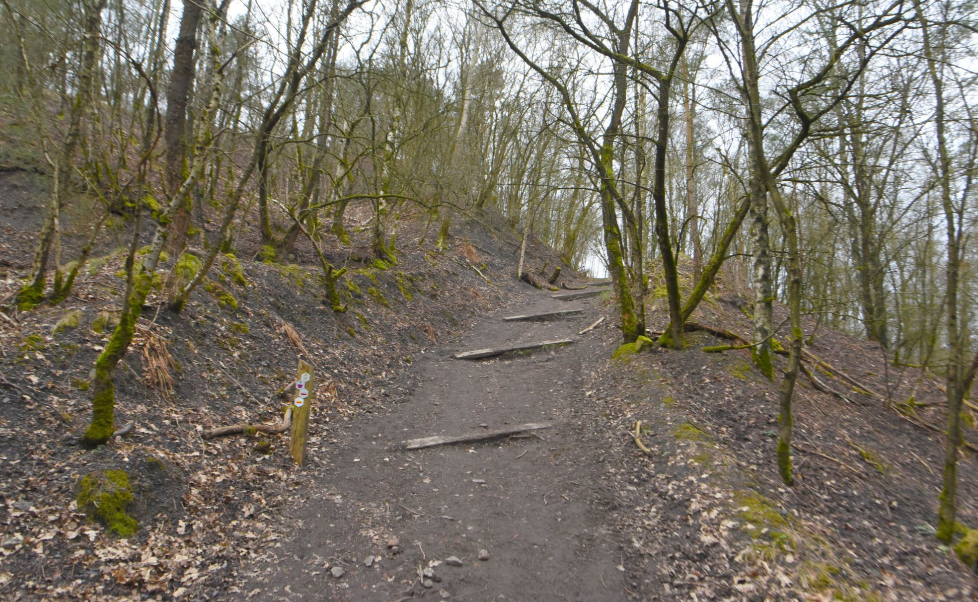 Terhills : parc national de la Haute Campine