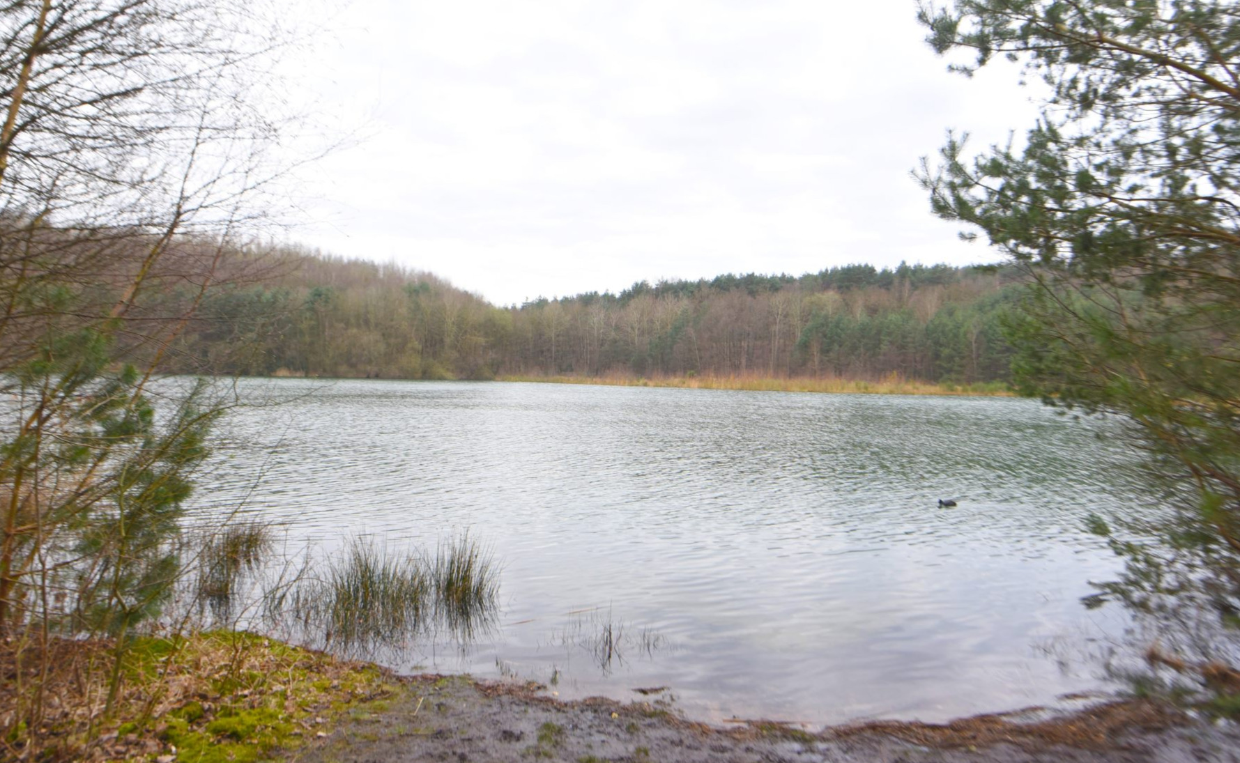 Terhills : parc national de la Haute Campine