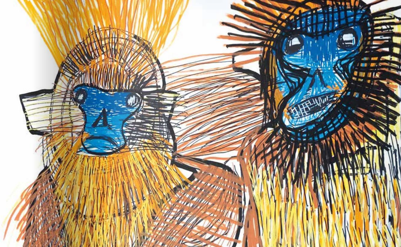 livre jeunesse le sourire du singe