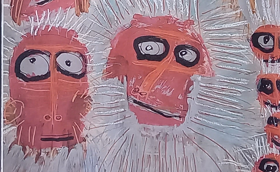 livre jeunesse le sourire du singe intérieur