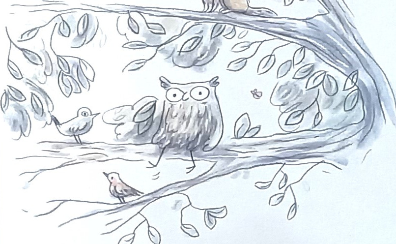 Livre jeunesse Le hibou abasourdi