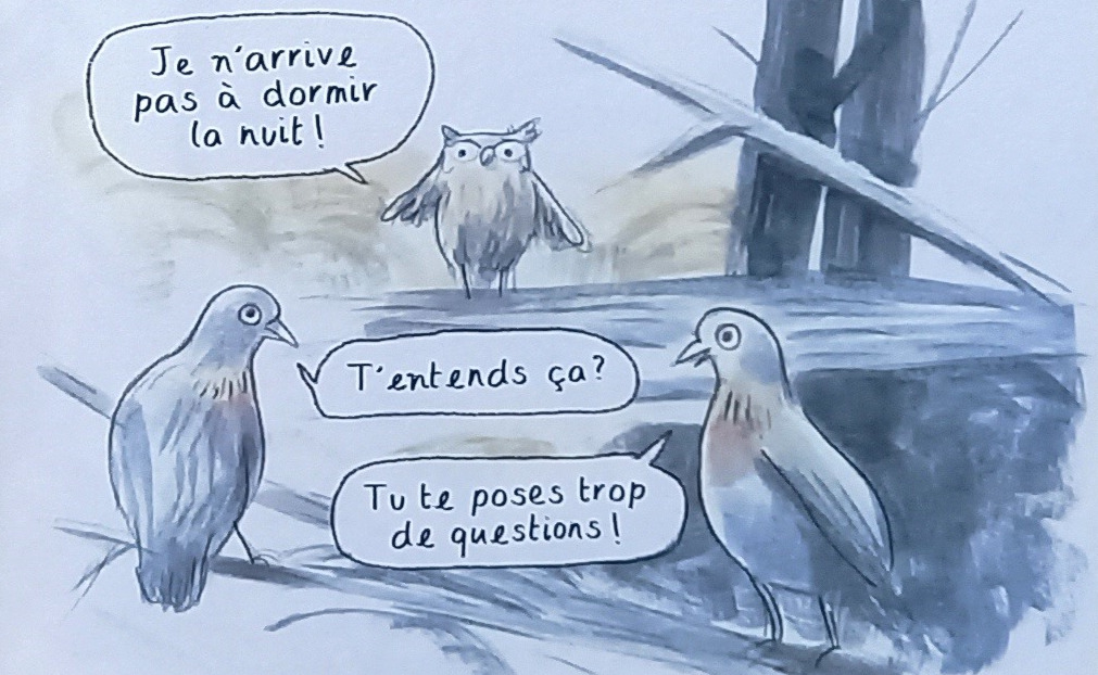 Livre jeunesse Le hibou abasourdi