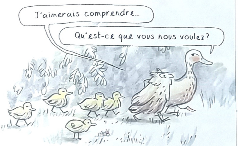 Livre jeunesse Le hibou abasourdi