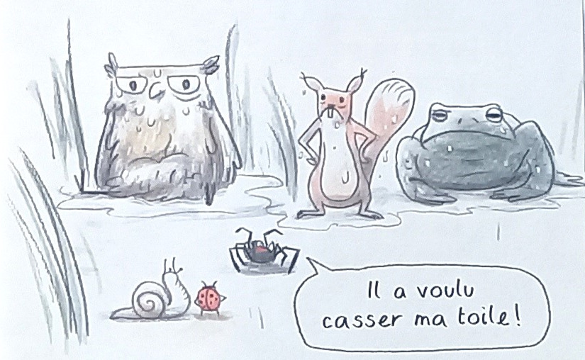 Livre jeunesse Le hibou abasourdi