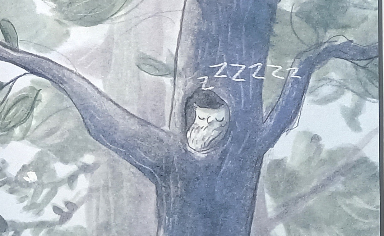 Livre jeunesse Le hibou abasourdi