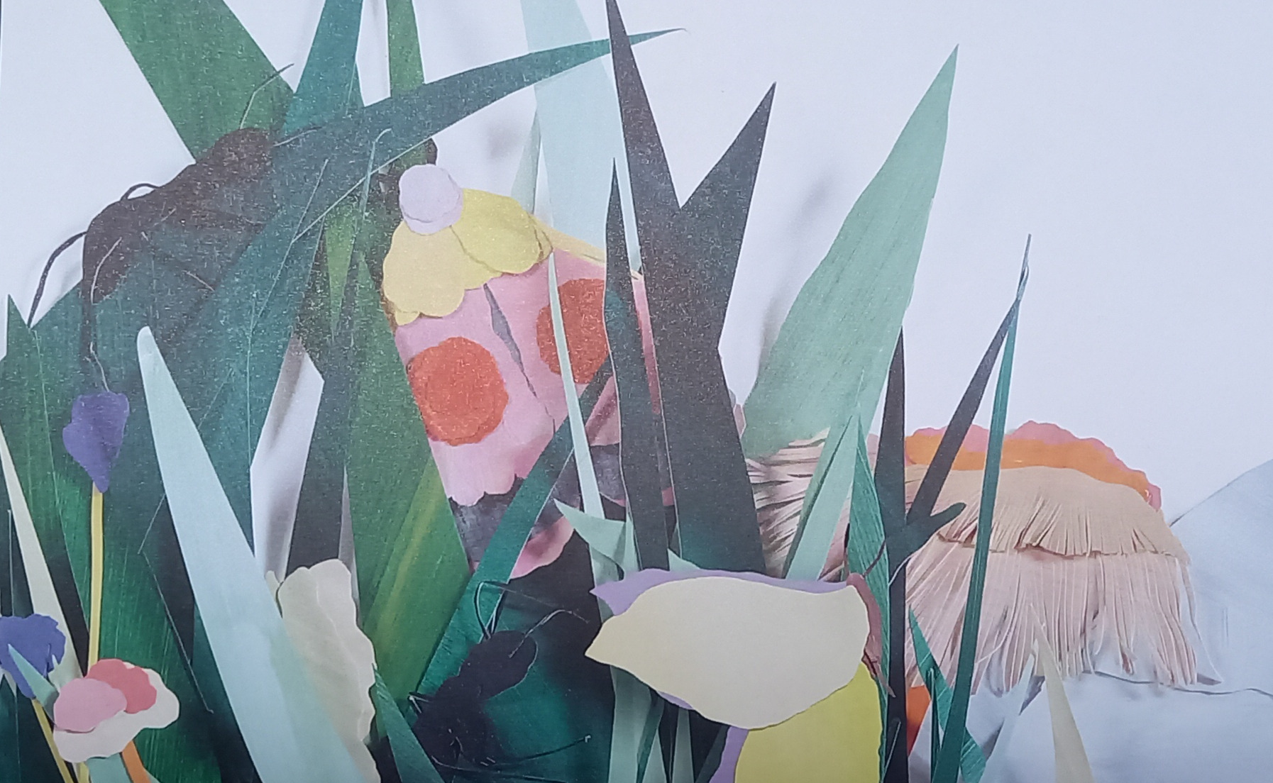 Livre jeunesse Et ici