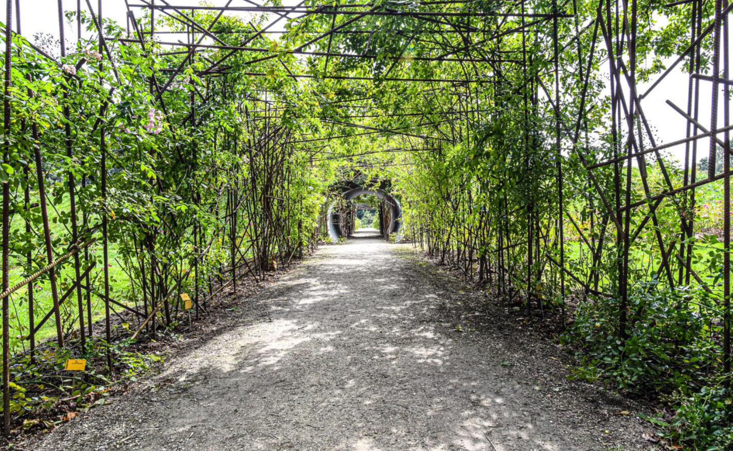 Jardin botanique de Meise, le jardin des roses