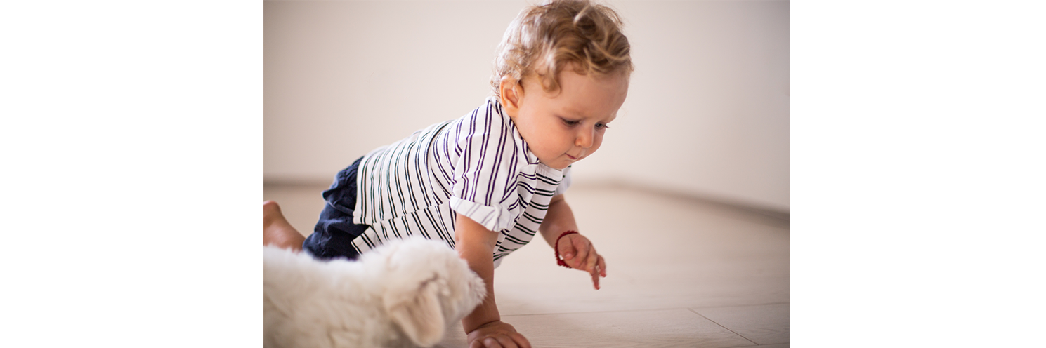 La marche se prépare chez le petit enfant