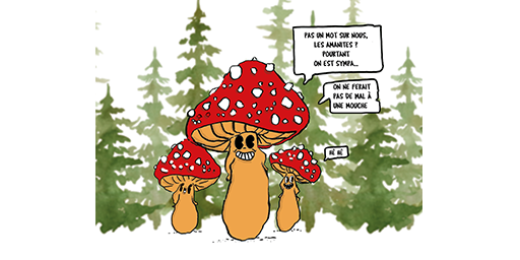 Comment faire aimer les champignons aux enfants