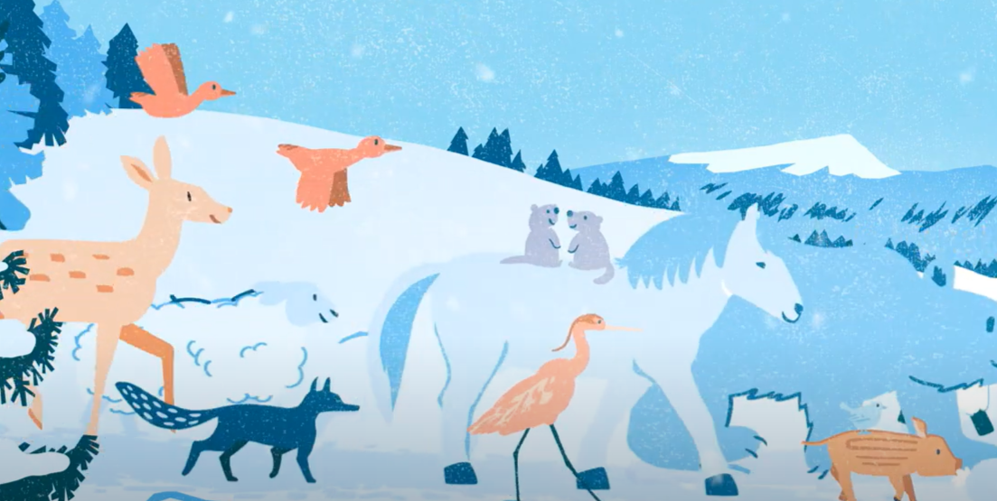 https://youtu.be/IgQTyiLgNzI?si=CwgSXAn3wMVr8aue