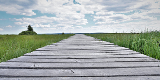 Promenade dans les Hautes Fagnes