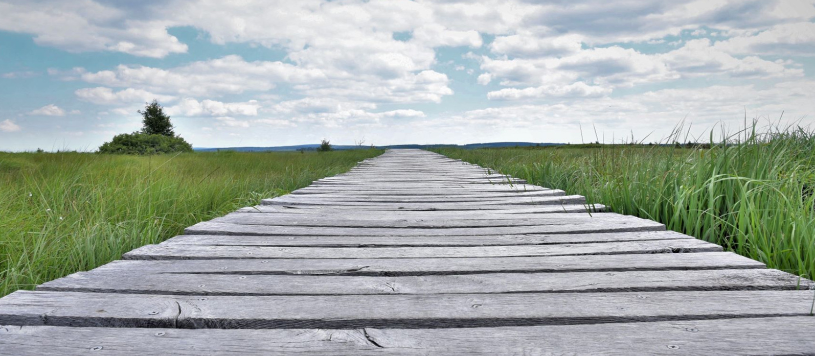 Balade dans les Hautes Fagnes